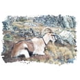 thumbnail image 3 of CafePress - Brown Pack Goat, Wyoming Long Sleeve T Shirt - Unisex Cotton Long Sleeve T-Shirt, 3 of 4