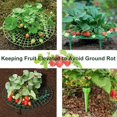 thumbnail image 3 of 4 Pack Strawberry Supports Stand , Adjustable Plant Support Racks Keeping Fruit Elevated to Avoid Ground Rot, Grow Bigger, Cleaner, Increase The Yield, 3 of 5