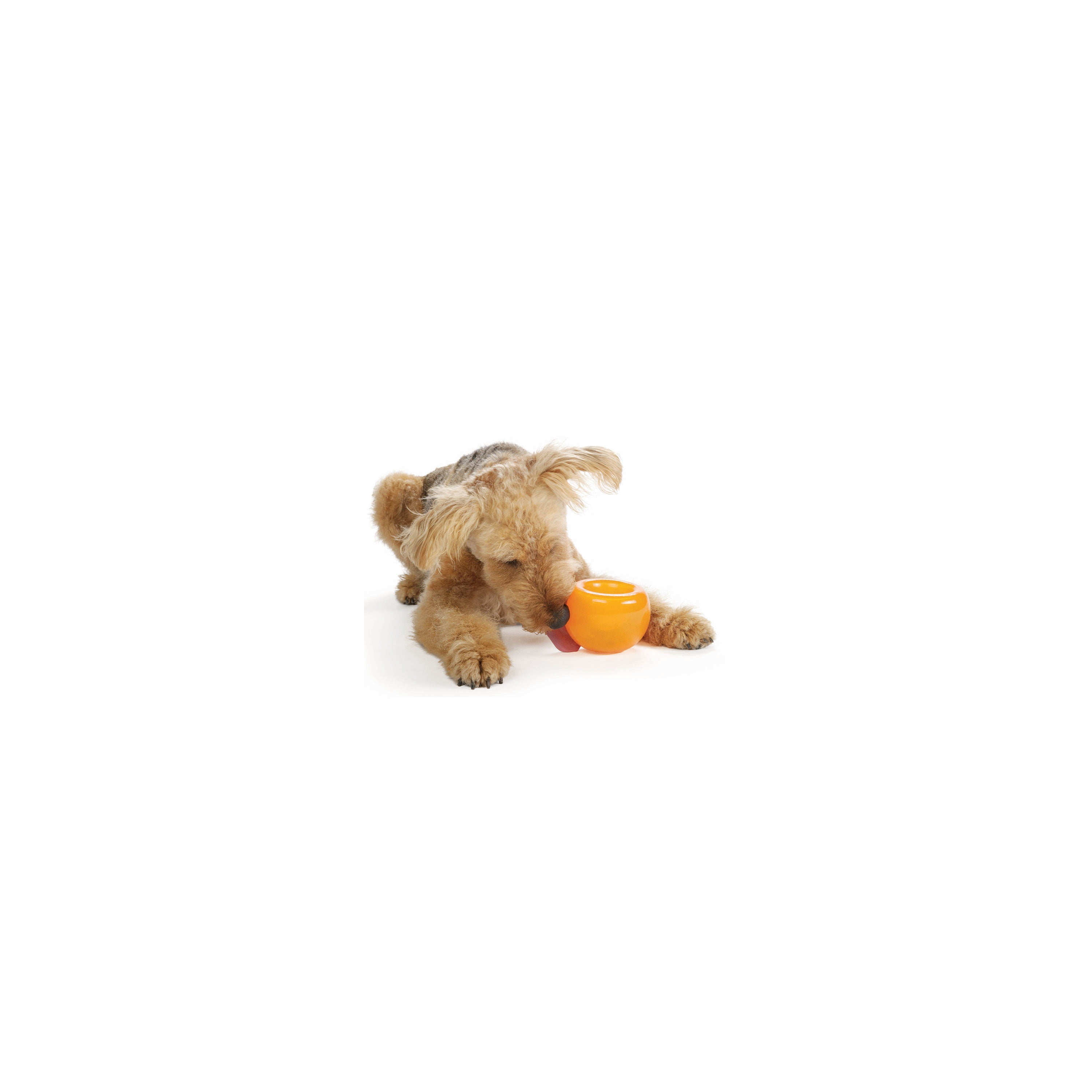 Pet Supplies : Pet Toys : Planet Dog Orbee-Tuff Snoop Interactive Treat  Dispensing Dog Toy, Large, Orange 