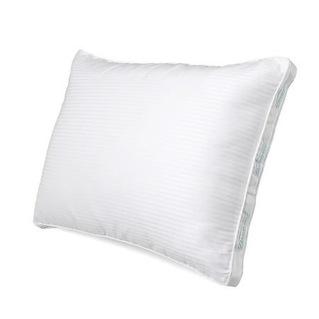 Hollander Sleep Products Beautyrest Firm Support Nature's Loft Pillow, Set of 2 -