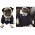thumbnail image 3 of Suéter con pajarita para perro, ropa para mascotas, chaquetas, ropa para perros, ropa linda para mascotas, suéteres cálidos para perros, ropa para gatos, ropa para cachorros, bulldog francés, ropa par, 3 of 5