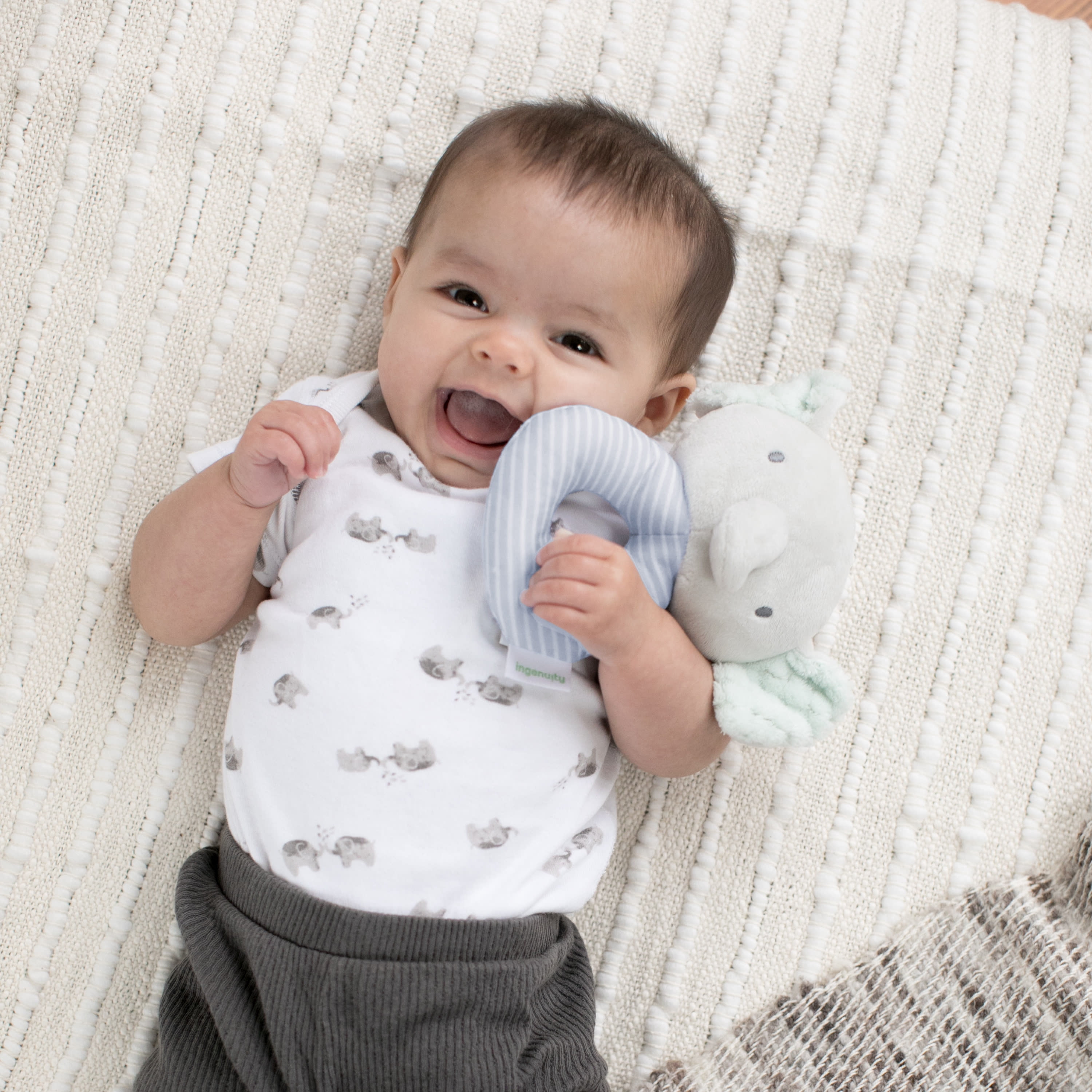 Ingenuity Premium Soft Plush Ring Rattle - Van the Elephant, Ages Newborn +