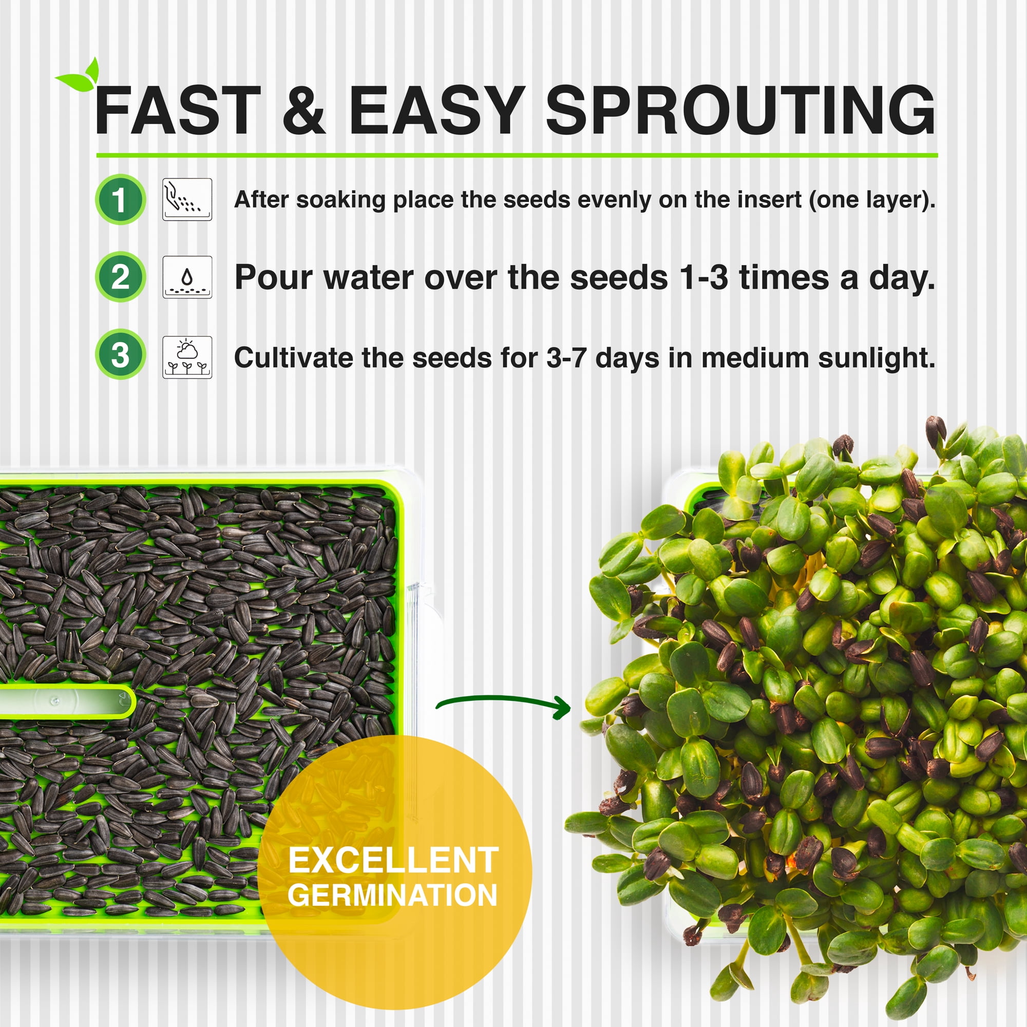 Bio Naturo Microgreens Sprouting Seeds (6 Pack), Organic Heirloom Non-GMO