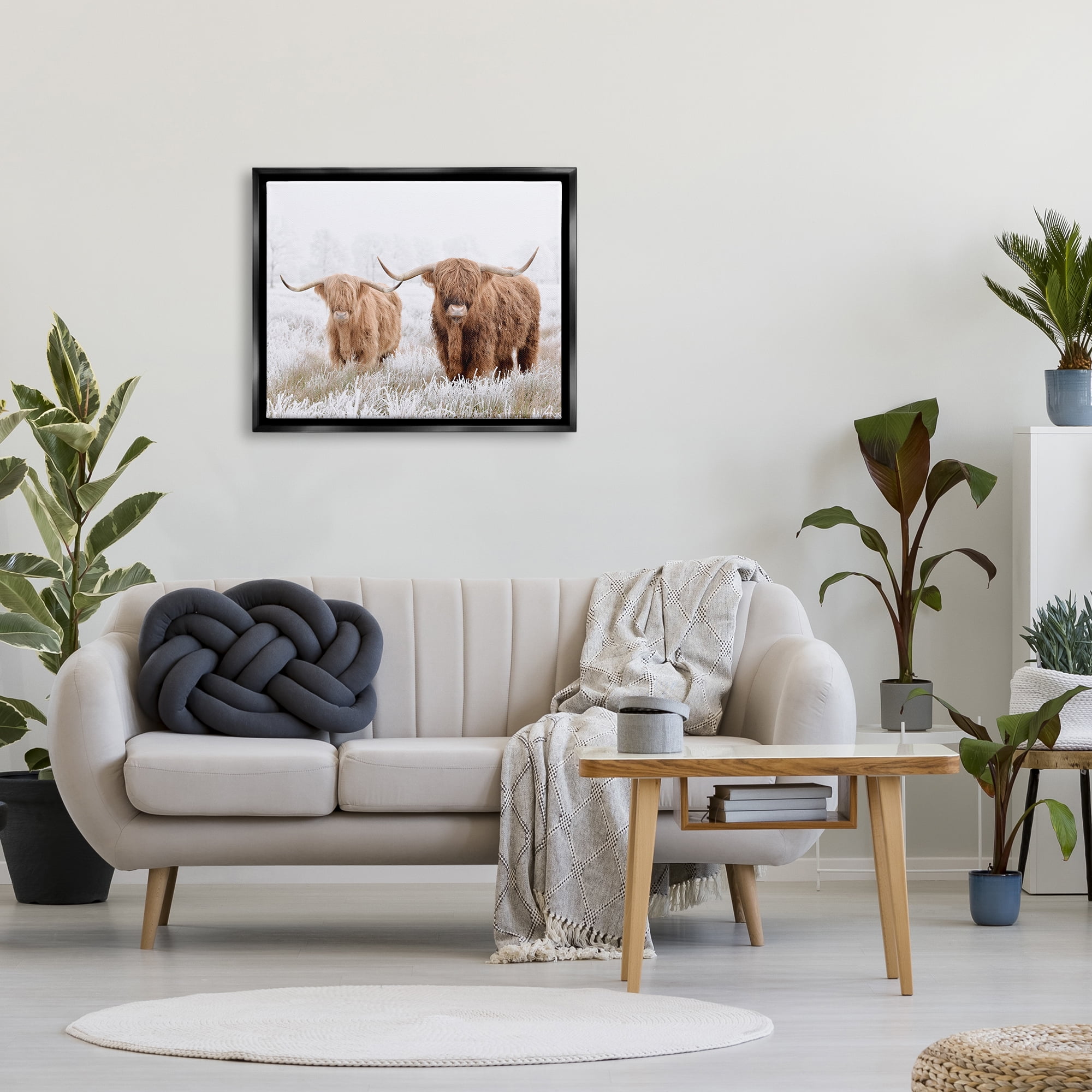 Stupell Industries Longhorn Cows in Snow Animals & Insects Photography Black Floater Framed Canvas Art Print Wall Art, 31 x 25