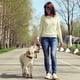 thumbnail image 3 of Botas para perros, botas impermeables para perros al aire libre con tira reflectante y correas ajustables, zapatos para perros con suela antideslizante resistente, 4 piezas, 3 of 8