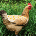 thumbnail image 5 of Delantal de silla de montar para gallinas, protector de plumas, protector de espalda, delantal de silla de montar para gallinas, 5 of 5