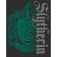 thumbnail image 2 of Men's Harry Potter Slytherin Dark Badge Logo  Graphic Tee Charcoal 3X Large, 2 of 5