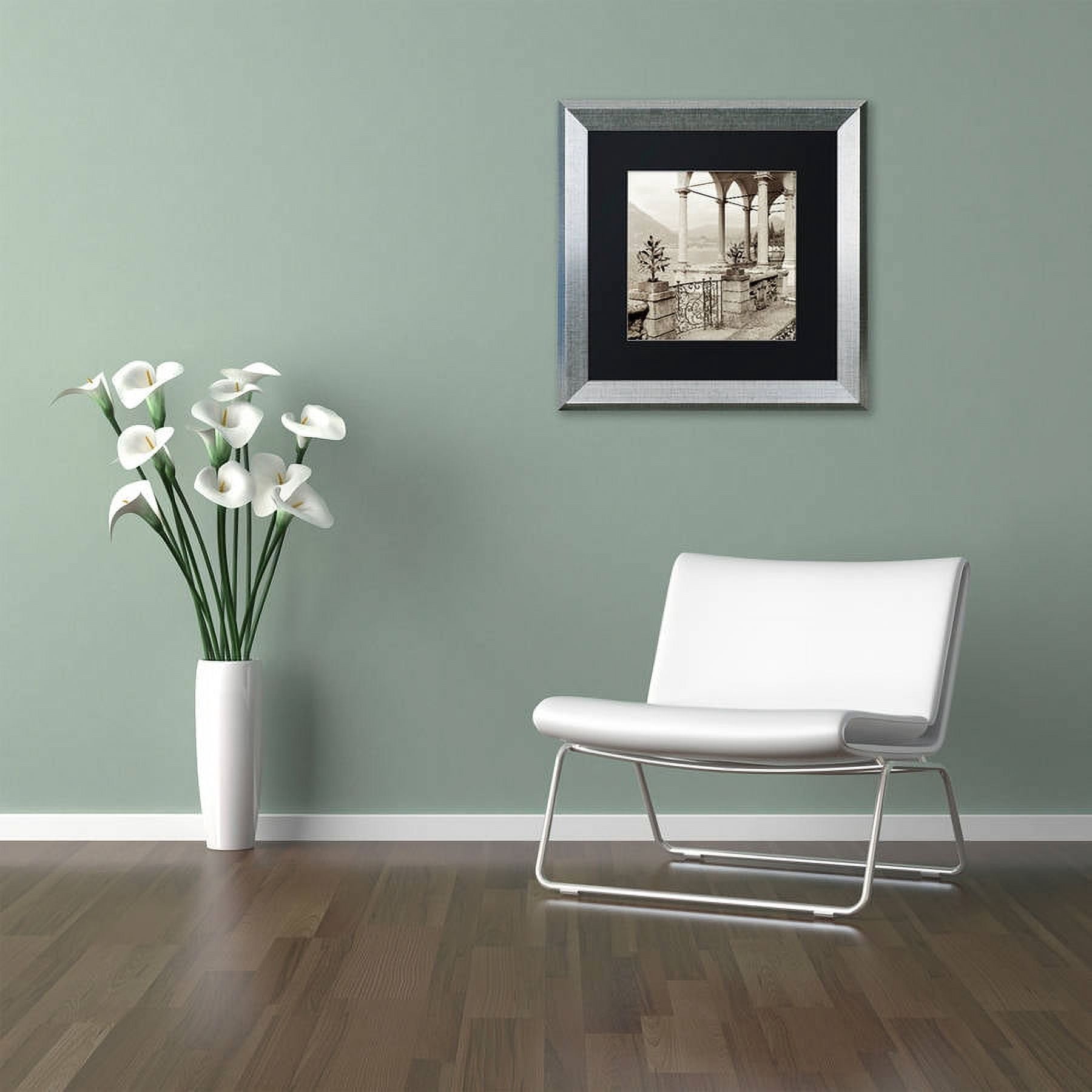 Trademark Fine Art "Lombardy VII" Canvas Art by Alan Blaustein, Black Matte, Silver Frame