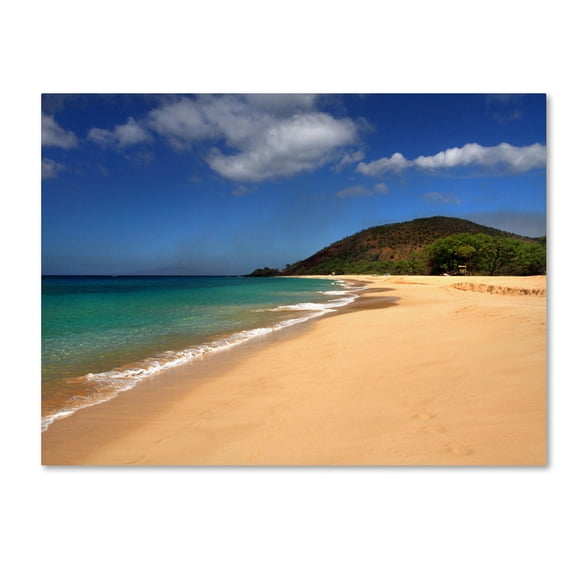 Trademark Fine Art "Makena Hawaii" Canvas Art by Pierre Leclerc