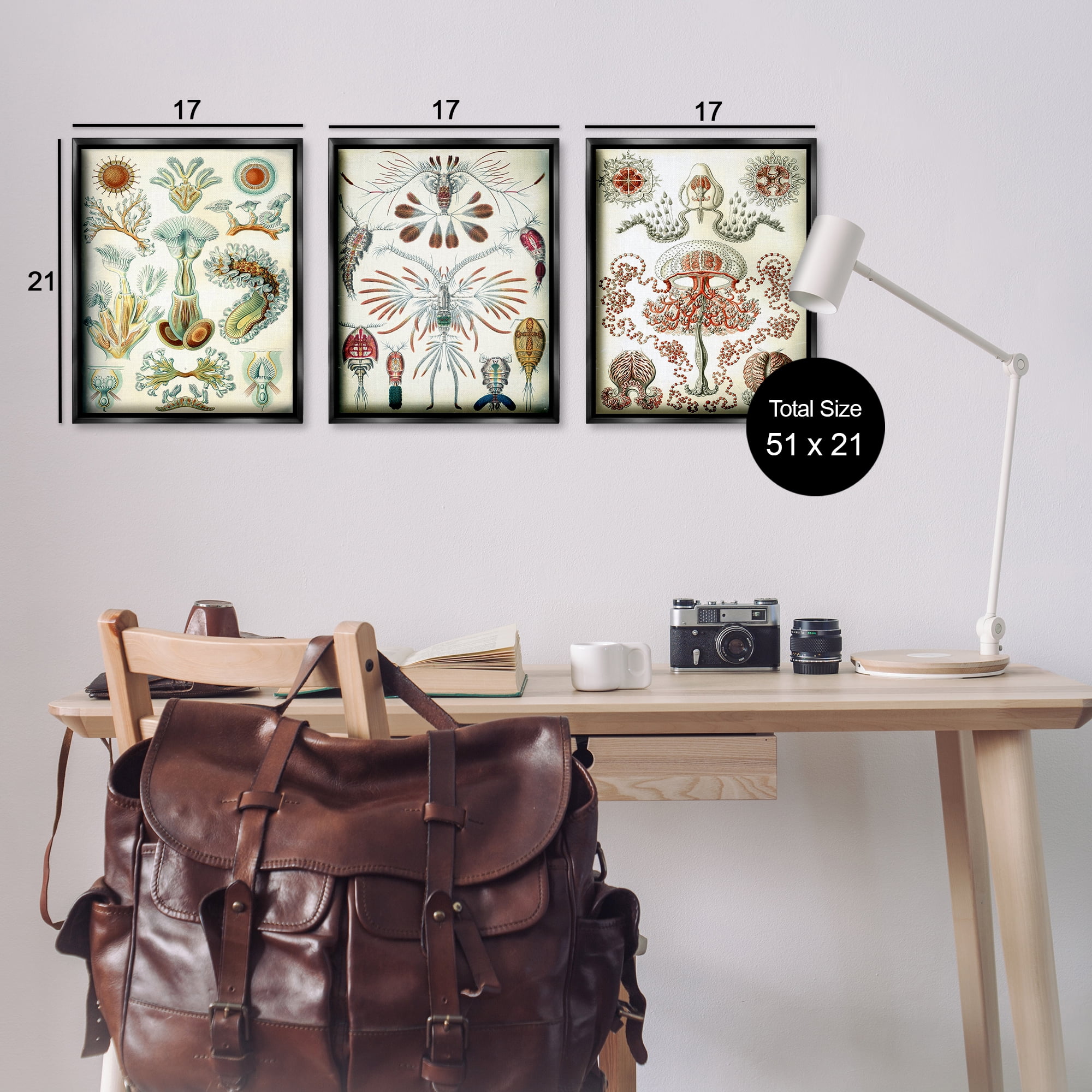 Stupell Industries Vintage Microscopic Crustaceans Animals Painting Black Floater Framed Canvas Art Print Wall Art, 17 x 21, Set of 3