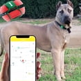 thumbnail image 5 of Air Tag Holder for Pets 2 Pack,Air Tag Holder Portable Air Tag Case Cover for air tag Dog Collar Holder,Anti-Lost Air Tag Holder for Dog Collar Cats Backpack and More( Pink & Olive Green), 5 of 5