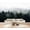 Color 1, variant on Wallpaper Starry Night Sky Pine Trees Summer Decor Peel and Stick Wall Murals 100"H x 144"W Removable PVC Wall Paper Self-Adhesive Wall Paintings Art Decor for Bedroom Living Room
