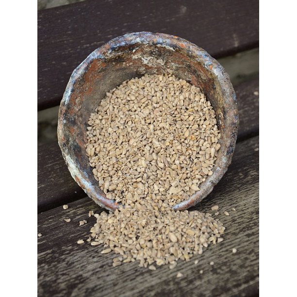 Sunflower Seeds Hulled Sunflower Seeds Cores20 Inch By 30 Inch