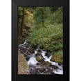 thumbnail image 2 of Berzel, Erin 17x24 Black Modern Framed Museum Art Print Titled - Wahkeena Falls IV, 2 of 5