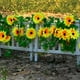 thumbnail image 5 of 220cm/86.6inches Rattan Decoration Sunflower Sunflower Vines Artificial Flower Plastic High Simulation Green Plant Two Pieces Per Pack 10 Flowers Per Strip, 5 of 6