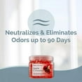 SMELLS BEGONE 12oz Odor Absorber Gel Beads, Apple Cinnamon Scent, Odor ...