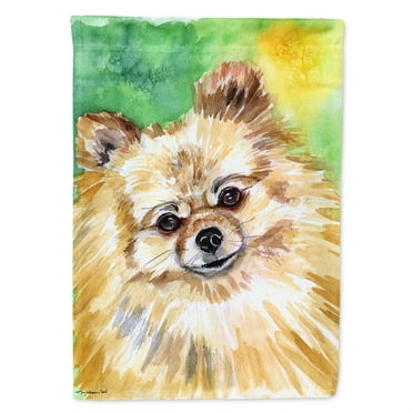 Carolines Treasures 7393CHF Pomeranian Sissy Flag Canvas House, Large, Multicolor