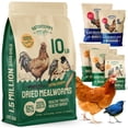 thumbnail image 1 of Hatortempt Gusanos de Harina Secos 4.5 kg Alimento para Aves Alto en Proteína, 1 of 9