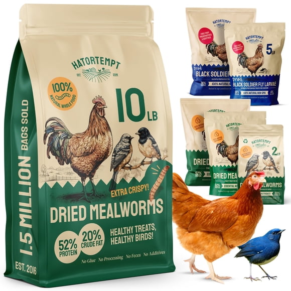 Hatortempt Gusanos de Harina Secos 4.5 kg Alimento para Aves Alto en Proteína