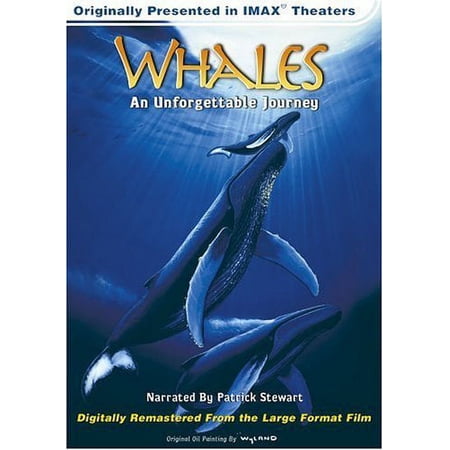 Whales: Unforgettable Journey / Imax & Ac-3 (DVD) Sling Shot Documentary