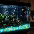 thumbnail image 5 of 400-Piece Colorful Glow in the Dark Garden Stones, Luminous Pebbles for Walkways, Fish Tanks, Flower Beds & Backyard Landscaping, Solar-Powered, 5 of 8