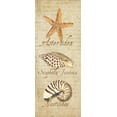 thumbnail image 2 of Reed, Tara 12x24 Black Ornate Wood Framed with Double Matting Museum Art Print Titled - Oceanum Shell Panel Beige II, 2 of 4