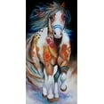 thumbnail image 2 of Baldwin, Marcia 11x18 White Modern Wood Framed Museum Art Print Titled - Brave The Indian War Horse, 2 of 4