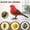 DD, variant on Iumwxz Sensing Voice-Activated Simulation Bird West Knight Imitation Bird Voice Control Control Bird 'S Induction Toy Gift Toys Christmas home decor christmas clearance outdoors indoor
