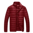 thumbnail image 6 of Autumn High-end Brand White Duck Down Light Thin Fashion Solid Color Slim Casual Stand Collar Mens Down Jacket Male Down Coat, 6 of 7