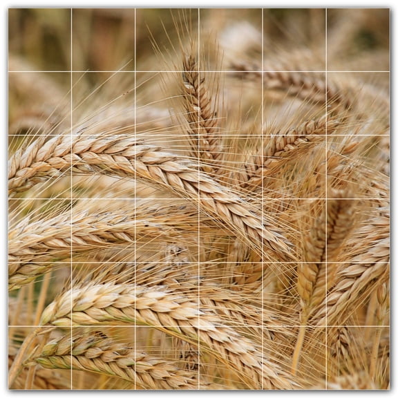 Picture-Tiles.com: Farm Ceramic Tile Wall Mural WAL500595-66M. 36"W x 36"H using (36) 6" x 6" Ceramic Tiles-Satin Finish