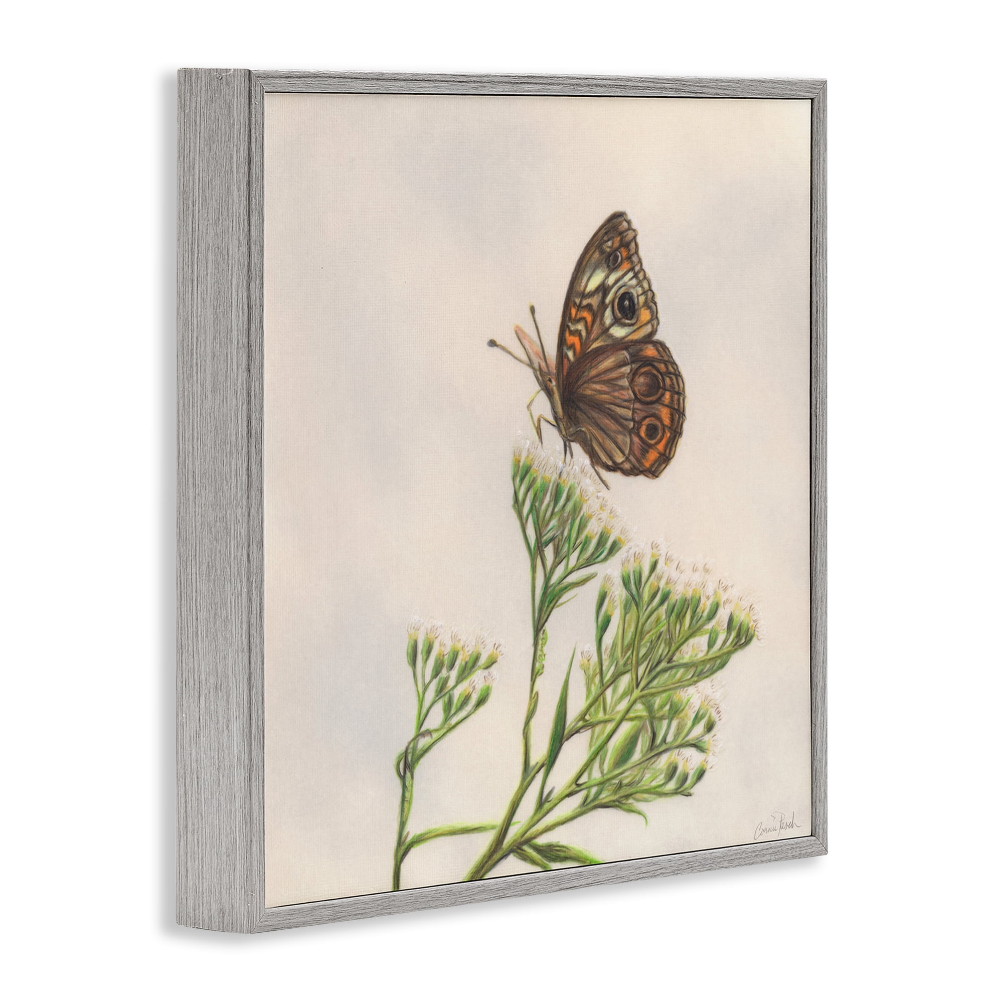 Stupell Industries Spring Offerings Butterfly Animals & Insects Painting Gray Framed Art Print Wall Art, 24 x 24