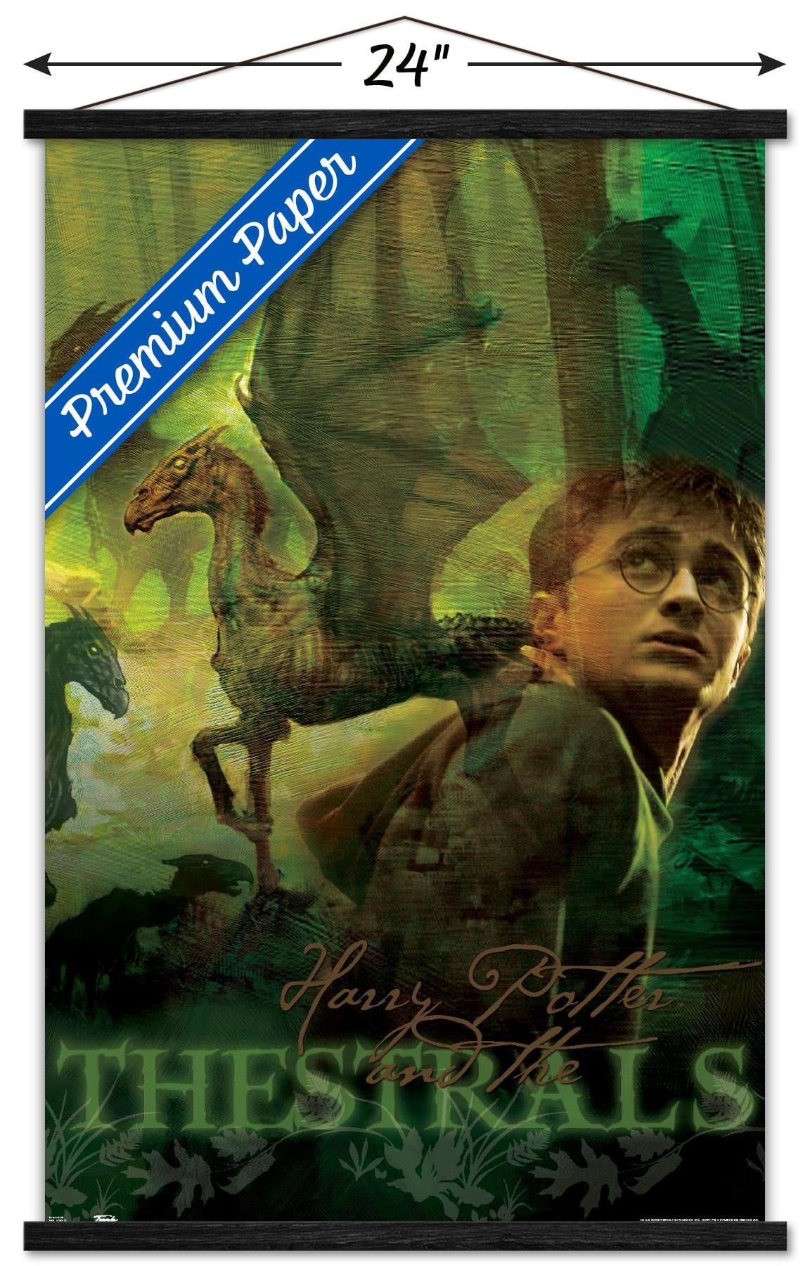Harry Potter and the Order of the Phoenix - Thestrals Wall Poster with Wooden Magnetic Frame, 22.375" x 34"