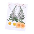 thumbnail image 4 of Flores secas prensadas Inteprter kit de juego de flores de naranja 5Conjunto, 4 of 6