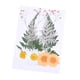 thumbnail image 4 of Ramos de flores secas Cateissary naturales prensadas kit de juego de flores de naranja 5Conjunto, 4 of 6
