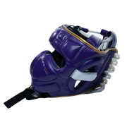 Face Saver Headgear