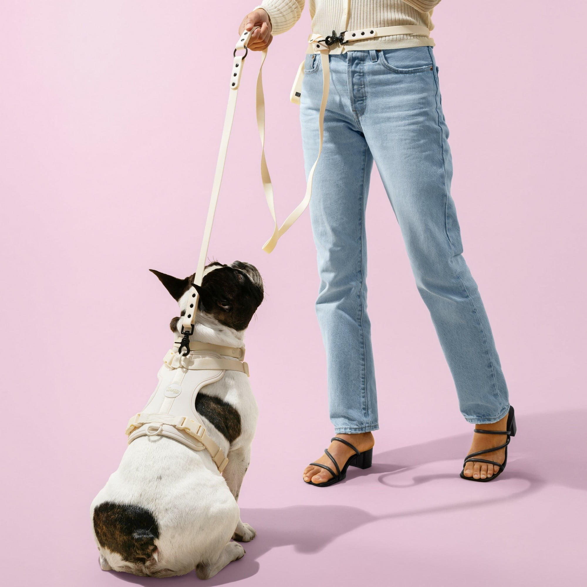THE LICKER STORE Arlo Large Adjustable Soft Padded No Pull Pet Harness with 3 Buckles and 3 Leash Clips, Almond, HNS1003L
