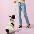 thumbnail image 4 of THE LICKER STORE Arlo Large Adjustable Soft Padded No Pull Pet Harness with 3 Buckles and 3 Leash Clips, Almond, HNS1003L, 4 of 8