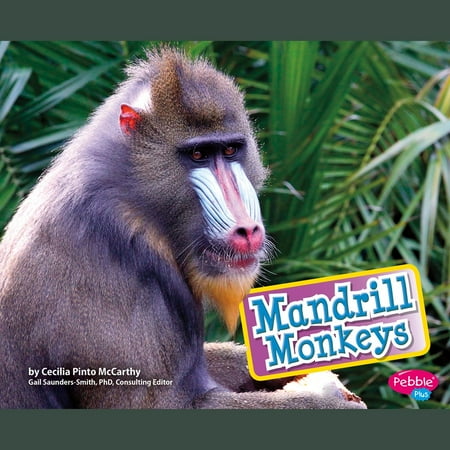Mandrill Animal - Mandrill Monkeys - Audiobook