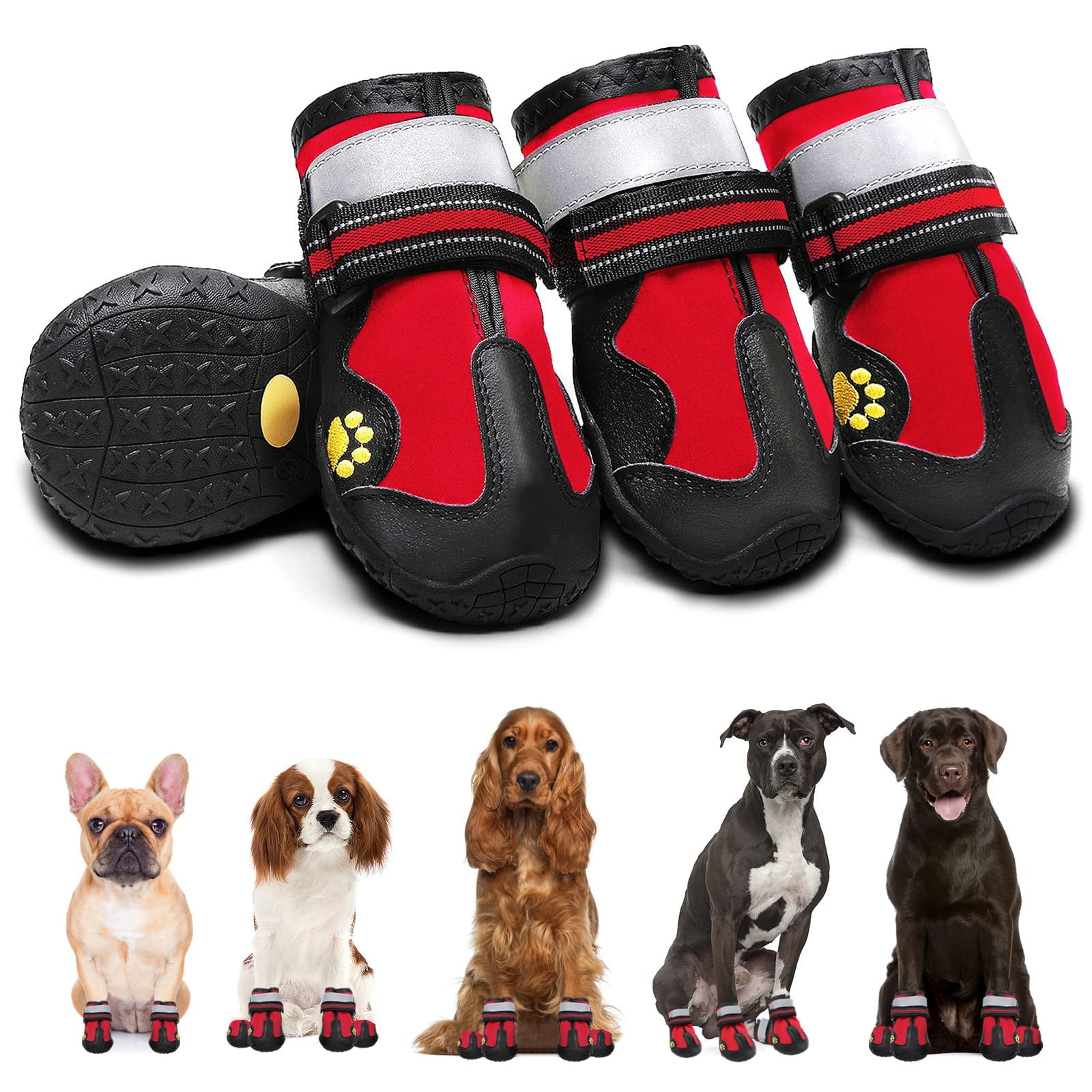 Do Dogs Need Shoes In The Snow