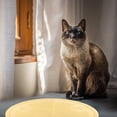thumbnail image 4 of ADDHAT Tapete Para Arena De Beige Con Antideslizante Y Resistente Para Mascotas, 4 of 7