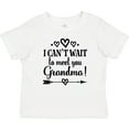 thumbnail image 3 of Inktastic I Can't Wait to Meet You Grandma Baby Announcement Boys or Girls Baby T-Shirt, 3 of 5