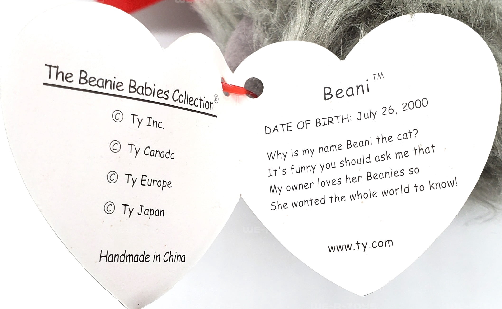 Ty Beanie Baby: Beani the Cat | Stuffed Animal | MWMT