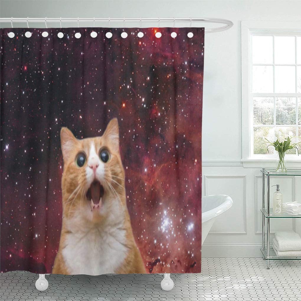 SUTTOM-Orange-Funny-Scaredy-Cat-in-Space-Cute-Kittens-...