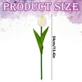 thumbnail image 3 of 1 Pc Artificial Tulip Flowers 13.4" Real Touch Fake Tulips Bouquet Flowers for Floral Arrangements, Table Centerpieces, Kitchen, Home Indoor, Easter, Spring, Valentines Day Decorations Milky White, 3 of 7