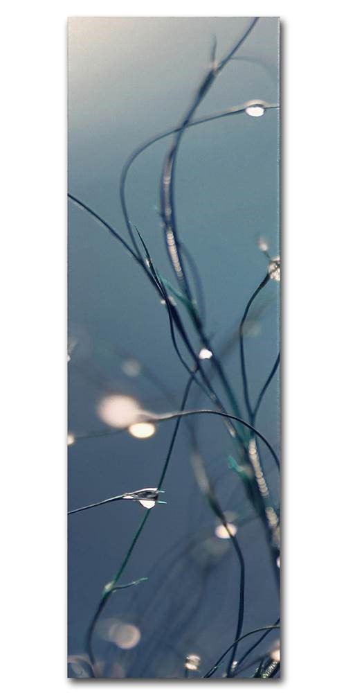 Beata Czyzowska Young 'When You're Sleeping' Multi Panel Art Set Large