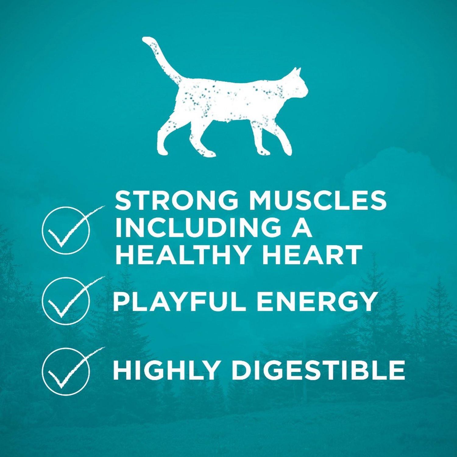 Purina ONE True Instinct Grain Free Chicken, Dry Cat Food 1.45kg