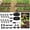 Black-25+50FT, variant on RainPoint Drip Irrigation System with 25FT 5/16" and 50FT 1/4" Irrigation Tubing, Adjustable Emitters DIY Drip Irrigation Kit for Potted Plants, Patios& Garden, Raised Beds