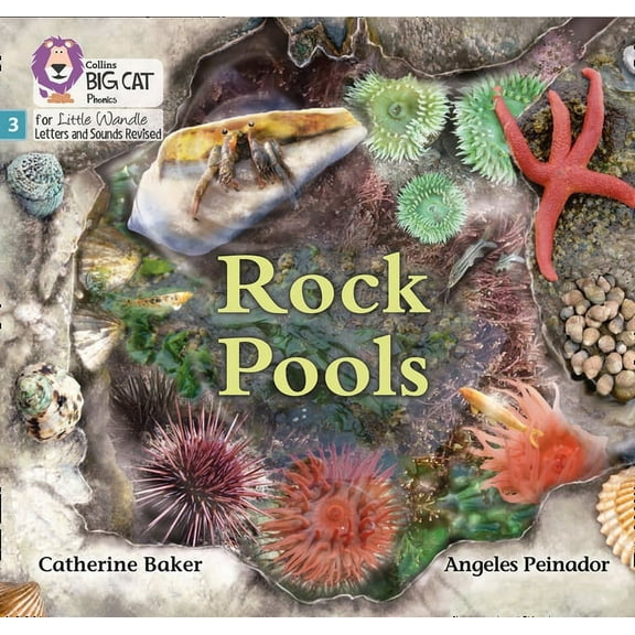 Big Cat Phonics for Little Wandle Letter Big Cat Phonics for Little Wandle Letters and Sounds Revised - Rock Pools: Phase 3, (Paperback)