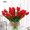 Red, variant on Viworld 8PCS Artificial Tulips Real Touch Fake Flowers Artificial Tulips Flowers Arrangement Bouquet for Home Room Office Wedding Party Decor, Red