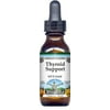 TerraVita Thyroid Support Glycerite Liquid Extract (1:5) - Chocolate Flavored, (Chocolate, 1 oz, 2-Pack, Zin: 523824)